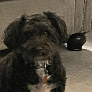 Meet your Posher, Debra